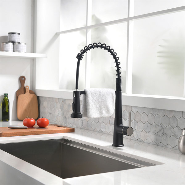 LOONGFIELD Faucet For Kitchen Sink, Kitchen Faucet With Pull Down